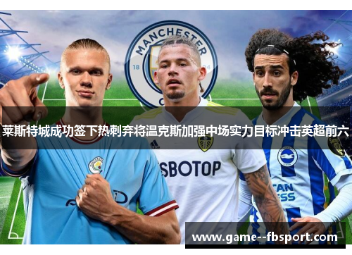 莱斯特城成功签下热刺弃将温克斯加强中场实力目标冲击英超前六